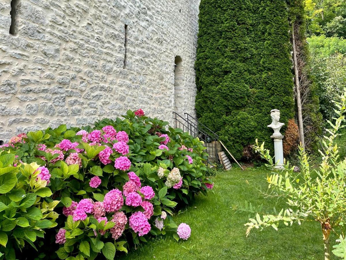 Manoir Saint-Pierre Bed & Breakfast Villersexel Dış mekan fotoğraf