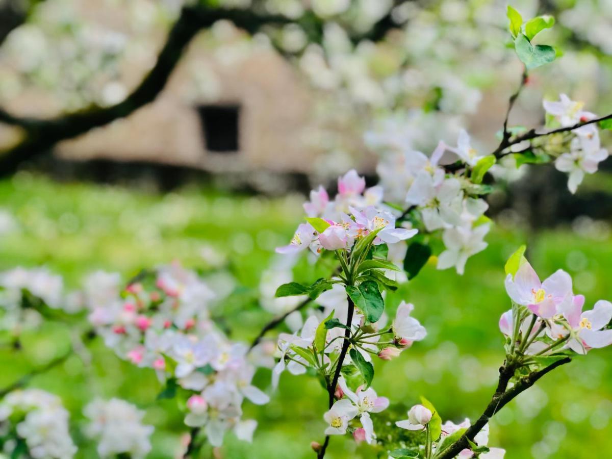 Manoir Saint-Pierre Bed & Breakfast Villersexel Dış mekan fotoğraf